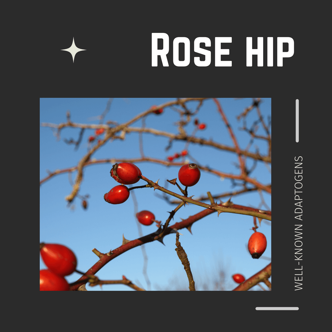 Rose hip